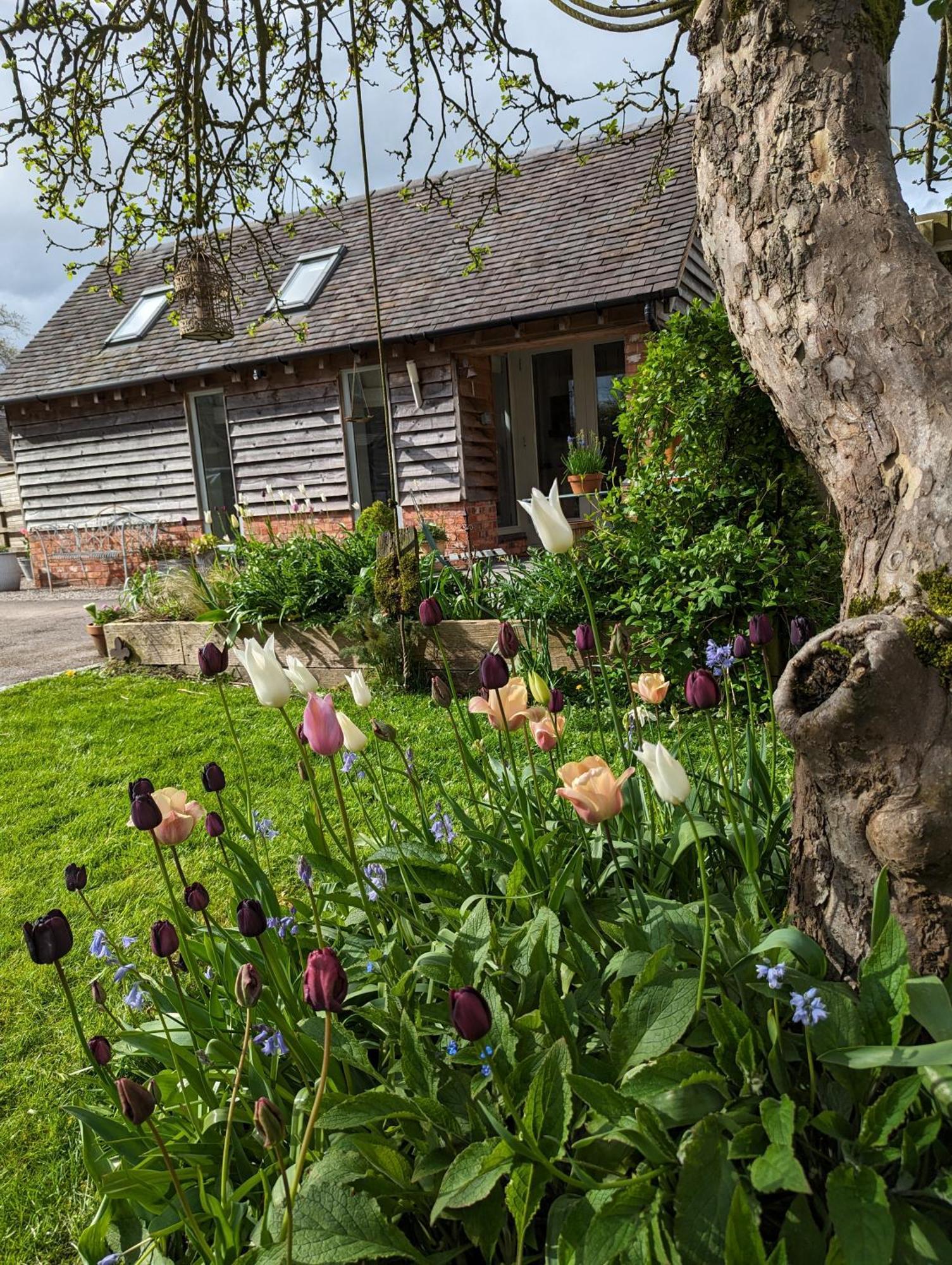 The Dorm Bed And Breakfast Eccleshall エクステリア 写真