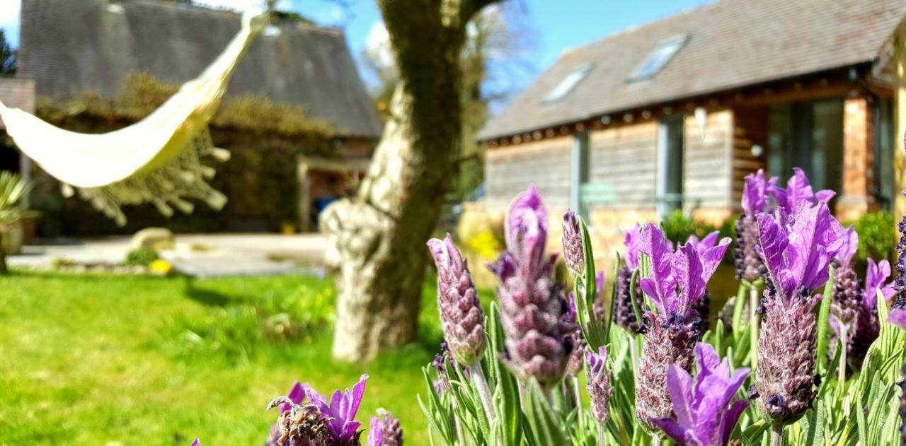 The Dorm Bed And Breakfast Eccleshall エクステリア 写真
