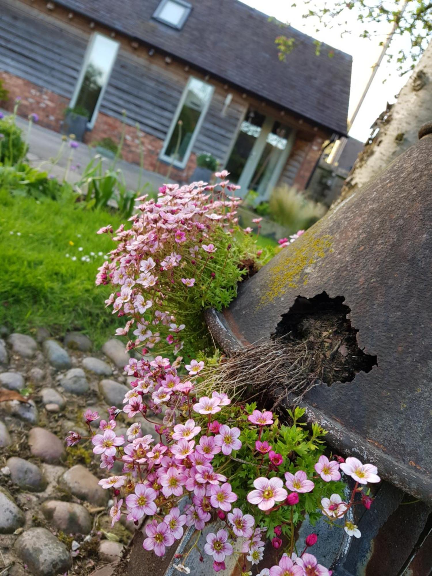 The Dorm Bed And Breakfast Eccleshall エクステリア 写真