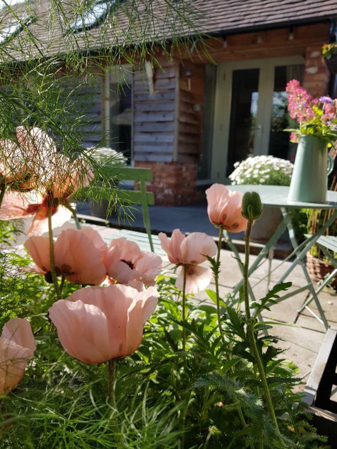 The Dorm Bed And Breakfast Eccleshall エクステリア 写真